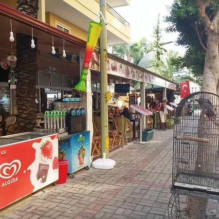 Ada-1 Lägenhetshotell Alanya